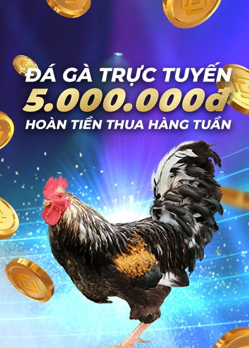 tructiepsv388.live Hoàn tiền 3.88% hàng tuần tại Đá Gà